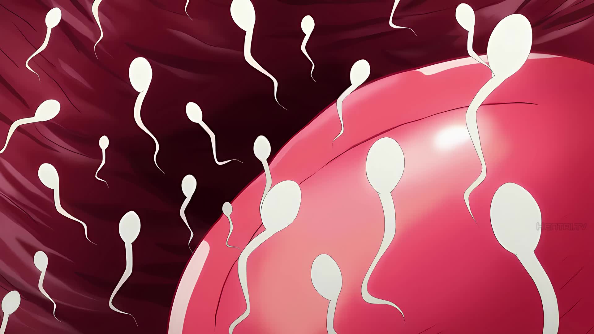 Dekichau Made Kon - Episode 1